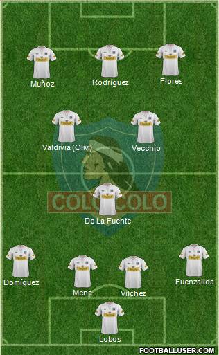 CSD Colo Colo Formation 2012