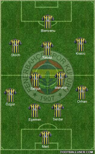 Fenerbahçe SK Formation 2012