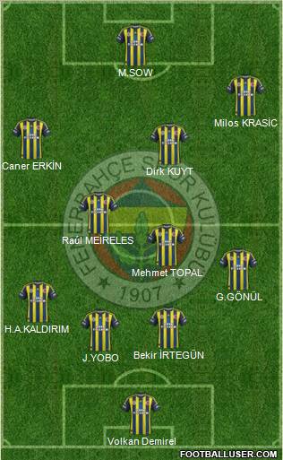 Fenerbahçe SK Formation 2012