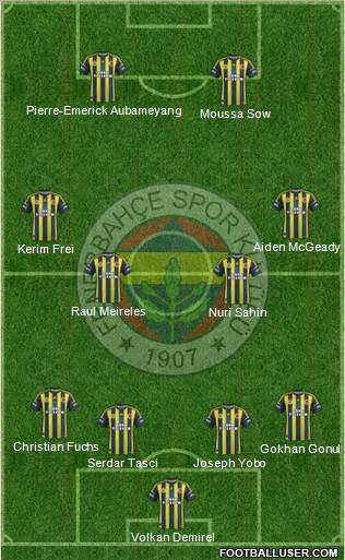 Fenerbahçe SK Formation 2012