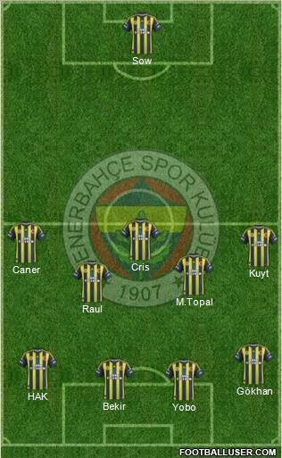 Fenerbahçe SK Formation 2012