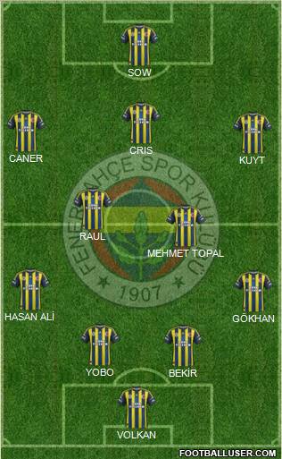 Fenerbahçe SK Formation 2012