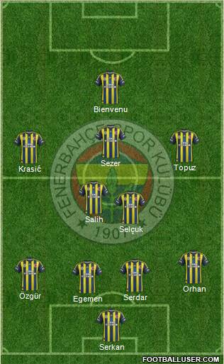 Fenerbahçe SK Formation 2012