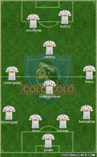 CSD Colo Colo Formation 2012