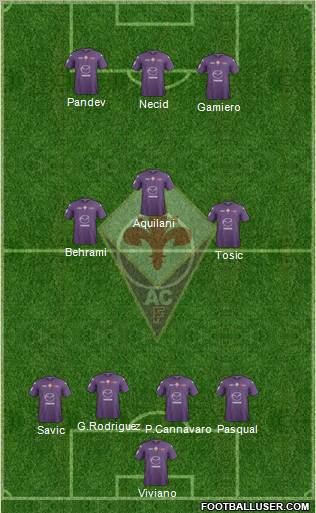Fiorentina Formation 2012
