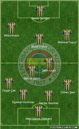 Fenerbahçe SK Formation 2012
