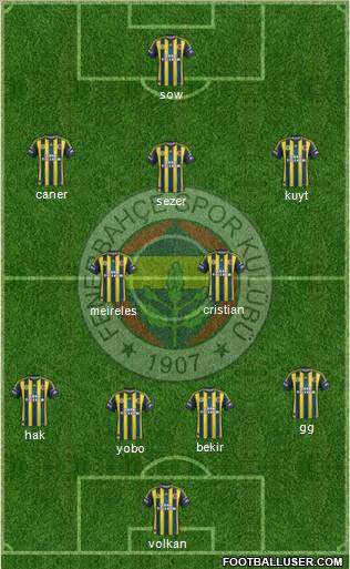Fenerbahçe SK Formation 2012