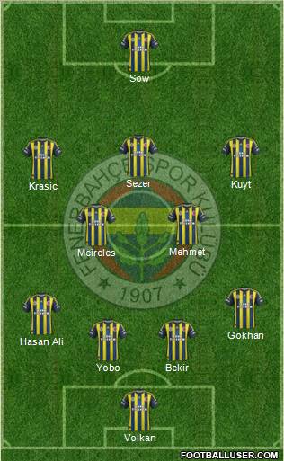 Fenerbahçe SK Formation 2012