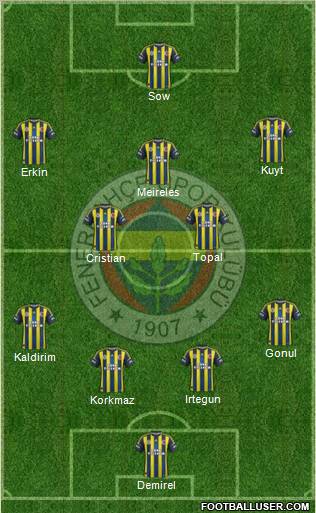 Fenerbahçe SK Formation 2012