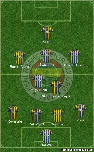 Fenerbahçe SK Formation 2012