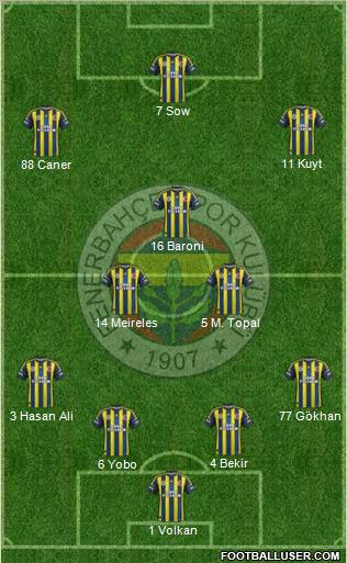 Fenerbahçe SK Formation 2012