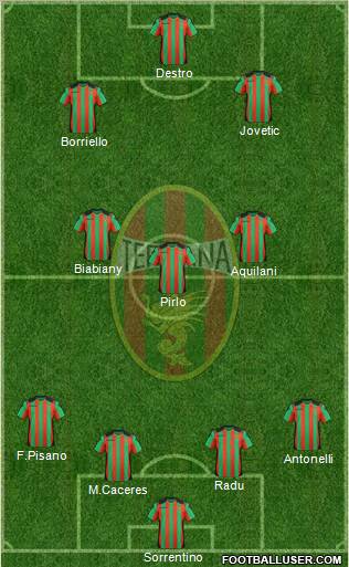 Ternana Formation 2012