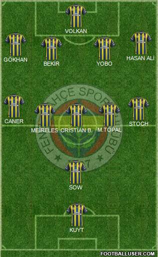 Fenerbahçe SK Formation 2012