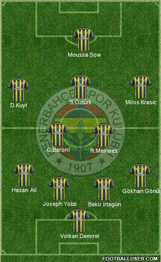 Fenerbahçe SK Formation 2012