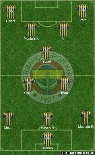Fenerbahçe SK Formation 2012