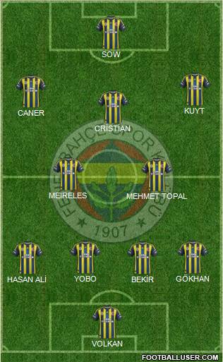 Fenerbahçe SK Formation 2012
