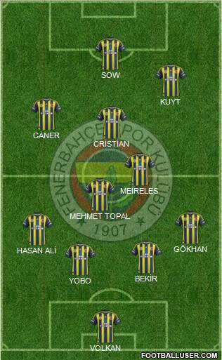 Fenerbahçe SK Formation 2012
