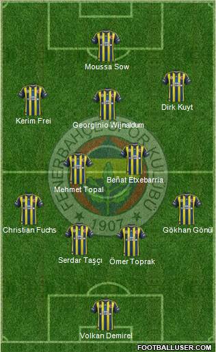 Fenerbahçe SK Formation 2012