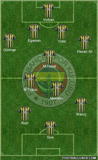 Fenerbahçe SK Formation 2012