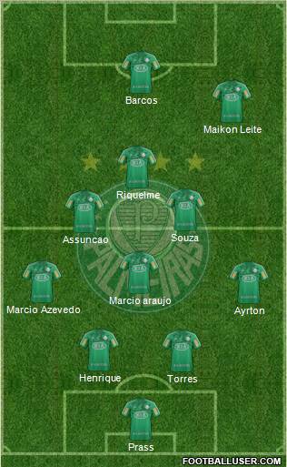 SE Palmeiras Formation 2012