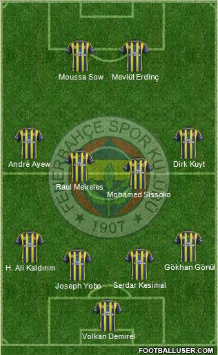 Fenerbahçe SK Formation 2012