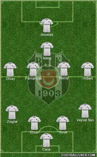 Besiktas JK Formation 2012