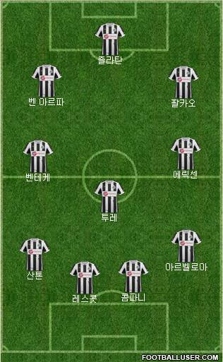 Newcastle United Formation 2012