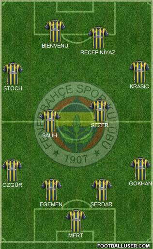 Fenerbahçe SK Formation 2012