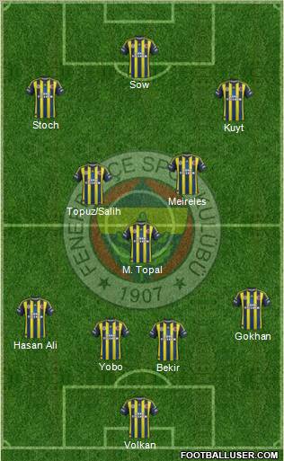 Fenerbahçe SK Formation 2012