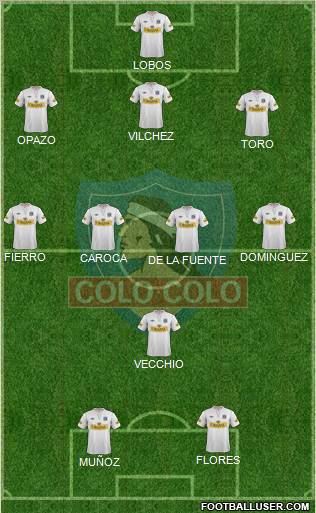 CSD Colo Colo Formation 2012