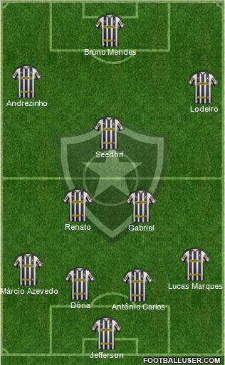 Botafogo FR Formation 2012