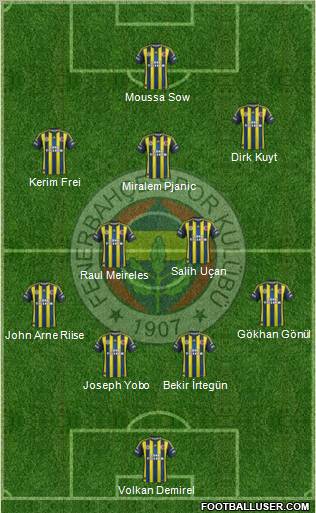 Fenerbahçe SK Formation 2012