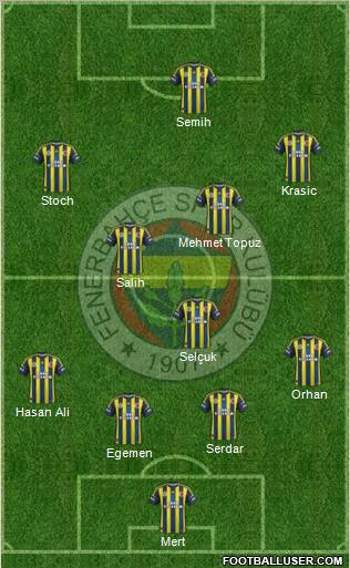 Fenerbahçe SK Formation 2012