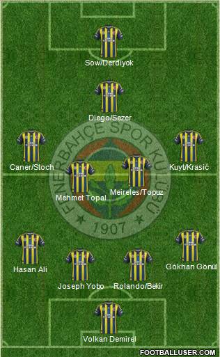 Fenerbahçe SK Formation 2012