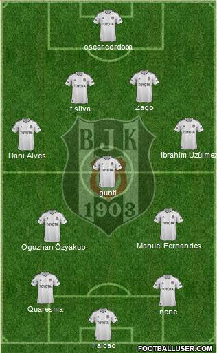 Besiktas JK Formation 2012