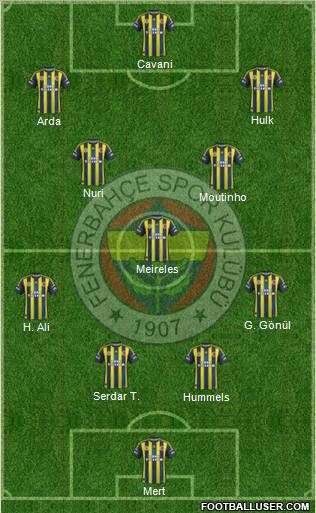Fenerbahçe SK Formation 2012