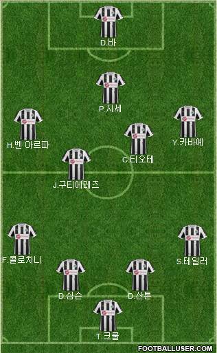 Newcastle United Formation 2012