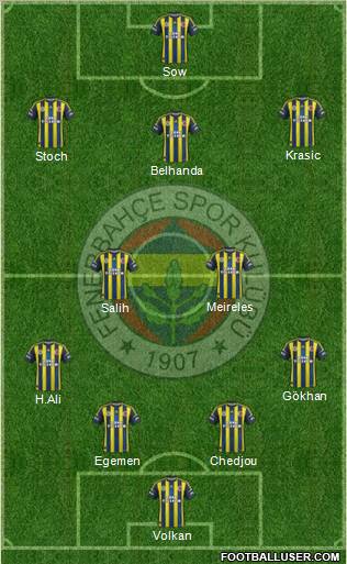 Fenerbahçe SK Formation 2012