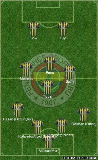Fenerbahçe SK Formation 2012