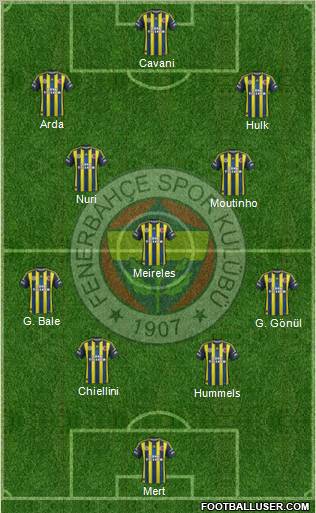 Fenerbahçe SK Formation 2012