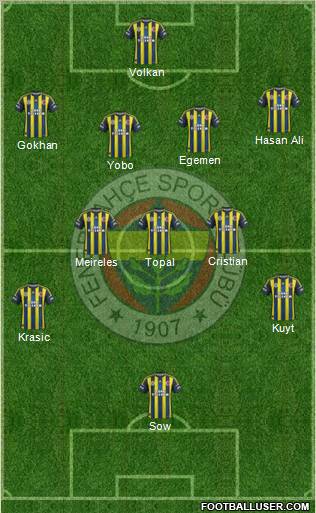 Fenerbahçe SK Formation 2012
