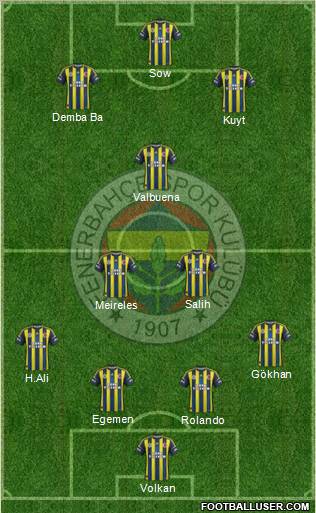 Fenerbahçe SK Formation 2012