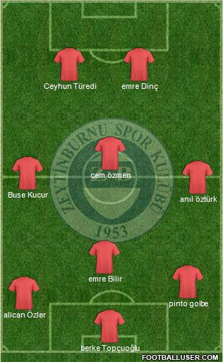 Zeytinburnuspor Formation 2012
