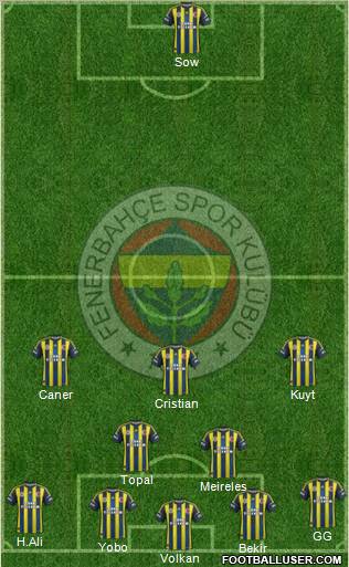 Fenerbahçe SK Formation 2012