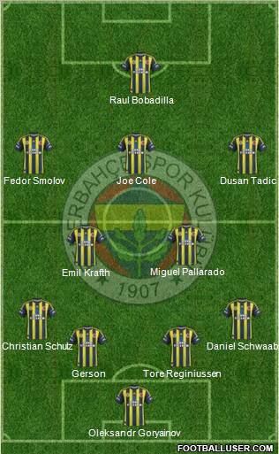 Fenerbahçe SK Formation 2012