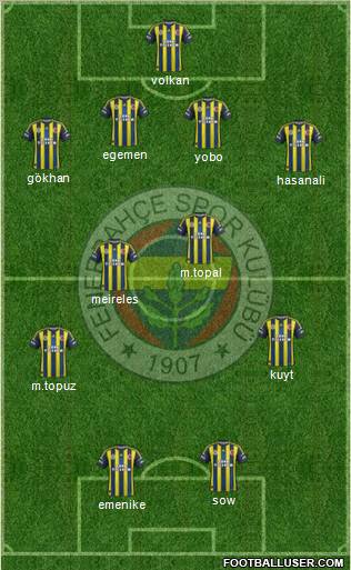 Fenerbahçe SK Formation 2012