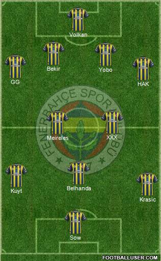 Fenerbahçe SK Formation 2012