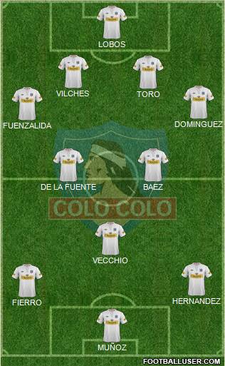 CSD Colo Colo Formation 2012