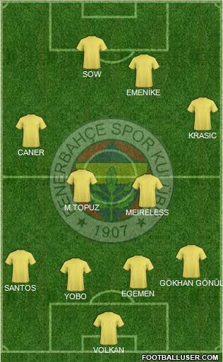 Fenerbahçe SK Formation 2012