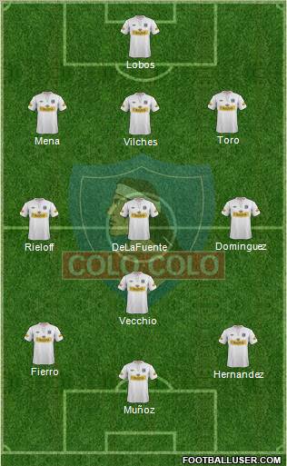 CSD Colo Colo Formation 2012